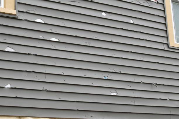 Best Residential Vinyl Siding Installation  in Chelsea, AL